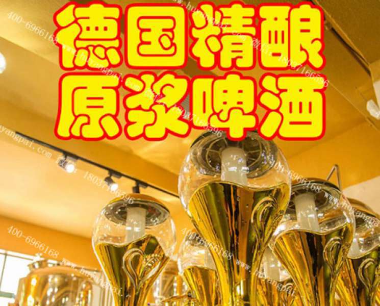 德國(guó)精釀原漿啤酒